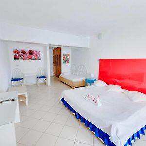 Suite Junior